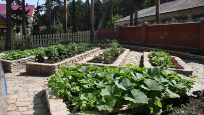 Декоративные огороды - Эко Сад — садовый центр