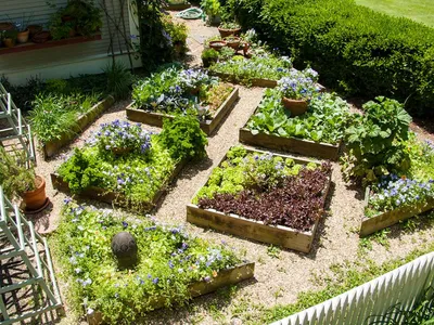 Дизайн огорода и сада придумываем, проектируем и воплощаем в жизнь.Фото декоративных  огородов.