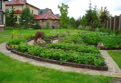 Как сделать декоративный огород: 10 простых шагов | myDecor