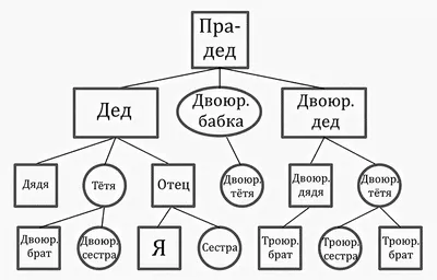 Генеалогическое древо - В.Г. Распутин