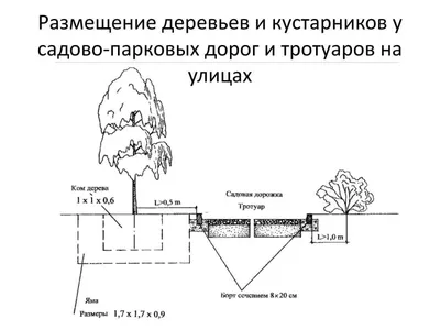 Деревянные дорожки на даче своими руками: пошаговая инструкция с фото -  Строительство и ремонт