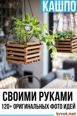 Кашпо для Цветов Своими Руками: Инструкция (120+ Фото Идей) | Diy hanging  planter, House plants decor, Hanging plants indoor