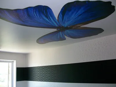 Фотопечать и 3D рисунки на натяжном потолке - Натяжные потолки в Йошкар-Оле  и РМЭ | NIMB