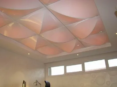 Натяжные потолки с фотопечатью с 3D эффектом, цены с установкой – Сеньор- Потолок