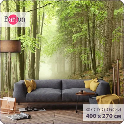 Фотообои на стену флизелиновые 3d Природа Туманный лес 400х270 см Barton  Wallpapers N026 - купить по выгодной цене в интернет-магазине OZON  (425697367)