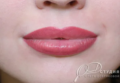 Татуаж губ 3D в салоне в Санкт-Петербурге — цены мастеров на качественный  перманентный макияж губ 3D в студии