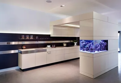 Дизайн кухни с аквариумом фото
