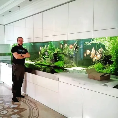 Дизайн кухни с аквариумом фото