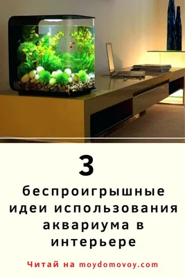 3 беспроигрышные идеи, как вписать аквариум в любой интерьер спальни, кухни,  гостиной | Домовой | Интерьер, Дизайн, Интерьер спальни