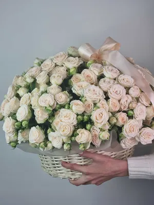Купить букет из 41 красной розы 80 см по доступной цене с доставкой в  Москве и области в интернет-магазине Город Букетов