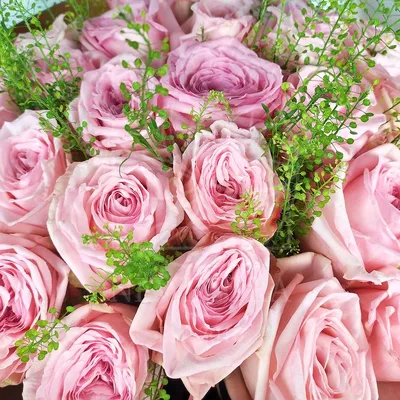 Композиция из 41 розы разных цветов в Рязани: Цена, Фото