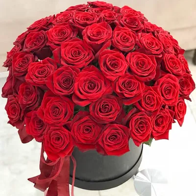 Букет 41 роза в черной шляпной коробке с доставкой в Новосибирске. Служба  доставки цветов и подарков - FLO365