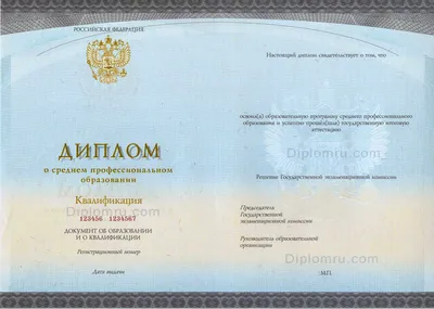 Купить диплом техникума или колледжа 2002-2007 по цене 14 000 руб. –  доставка по РФ и СНГ, гарантия анонимности