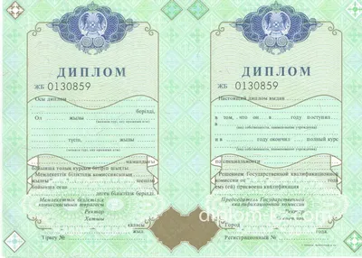 Купить диплом цена без предоплаты с доставкой по России