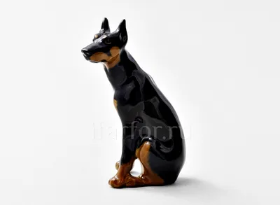 Доберман | Доберман, Черные собаки, Собачьи портреты