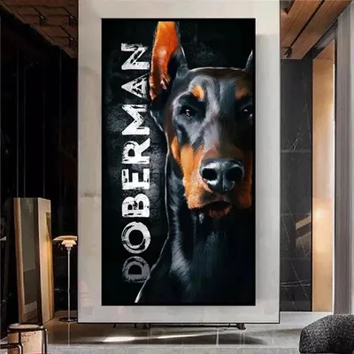 Доберман - описание породы собак: характер, особенности поведения, размер,  отзывы и фото - Питомцы Mail.ru