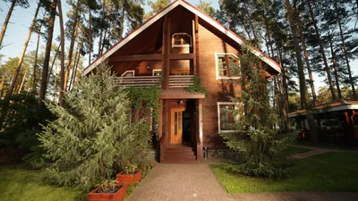 Дом в Сосновом лесу - фото и картинки: 32 штук