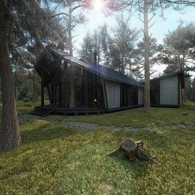 Дом в сосновом бору - Проект из галереи 3D Моделей