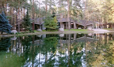 Деревянный дом в сосновом лесу | Частная Архитектура | Дзен