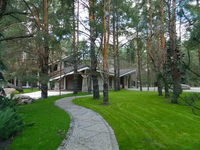 Деревянный дом в сосновом лесу - Блог \"Частная архитектура\"