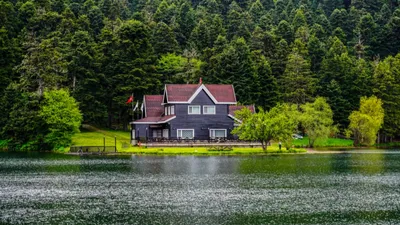 Дом на берегу озера в лесу - 58 фото