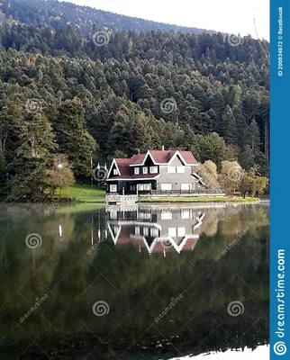 Дом на берегу озера в озере Стоковое Фото - изображение насчитывающей озеро,  дом: 200834672
