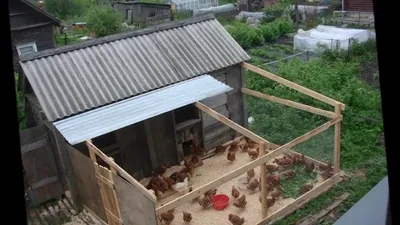 Курятник на даче Зимний домик для кур - YouTube