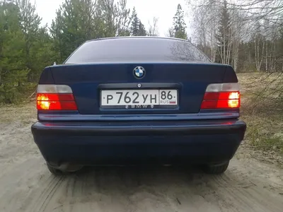 BMW E36 Rückkeh