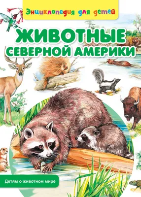 Цифровая книга \"Животные Северной Америки\" Рублев Сергей – купить книгу с  быстрой доставкой в интернет-магазине OZON