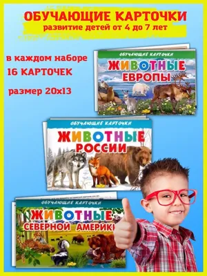 Северная Америка. Природные зоны • География, Северная Америка • Фоксфорд  Учебник