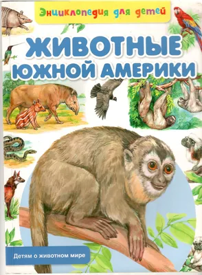 Животные Южной Америки - Рублев С. - купить и читать онлайн электронную  книгу на Digital Wildberries | 27993