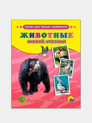 Животные Южной Америки – заказать на Ярмарке Мастеров – MU4XKRU | Мягкие  игрушки, Санкт-Петербург