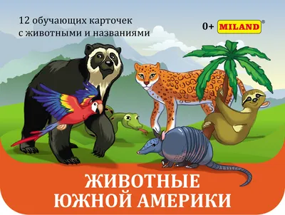 Книга «Животный мир Южной» Астахова Н. В. сост. - купить на KNIGAMIR.com  книгу с доставкой по всему миру | 978-5-7793-4812-6