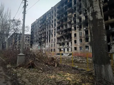 В Сети опубликовали спутниковые снимки колонии в Еленовке до и после взрыва