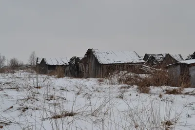 Заброшенная \"деревня\" в Ленинградской области | Пикабу