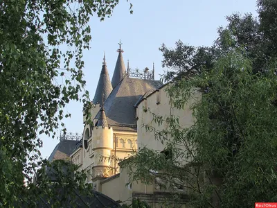 Замок Галкина и Пугачевой в Грязи продают за бесценок