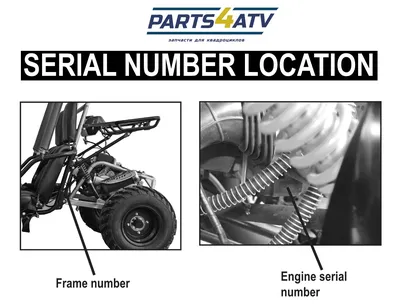 Как найти серийный номер рамы и двигателя на квадроциклах и багги - Статья  на портале Parts4ATV.Ru
