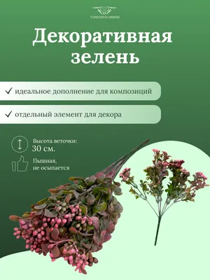 Купить Зелень ягодки розовые(с напылением) декоративная/искусственная по  выгодной цене в интернет-магазине OZON.ru
