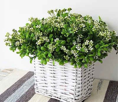 Купить Искусственные цветы 1 куст \"зелень с белыми бутонами\