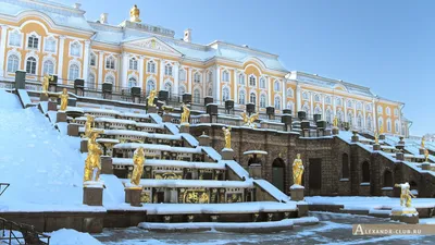 В Санкт-Петербург на машине зимой, Петергоф, Гатчина и Выборг.