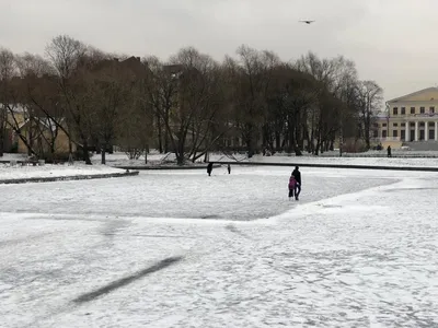 Что посмотреть в Санкт-Петербурге, куда пойти в Санкт-Петербурге,  достопримечательности Санкт-Петербурга - 13 декабря 2022 - e1.ru