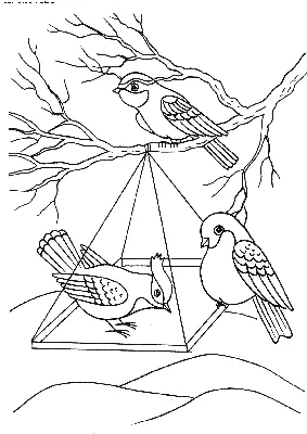 Изображения Кормушка птиц | Бесплатные векторы, стоковые фото и PSD