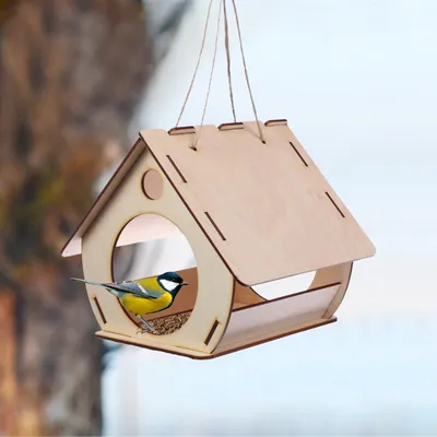 Самые креативные и остроумные кормушки для птиц | greenbelarus.info