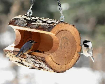 Подвесная металлическая кормушка для арахиса в виде птицы | Дом и сад |  АлиЭкспресс