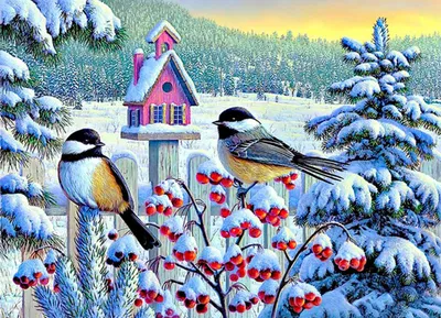 Чем и как правильно подкармливать птиц и животных зимой? | Вдохновение  (Огород.ru)
