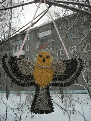Кормушка для птиц может быть съедобной — Дом — tsn.ua
