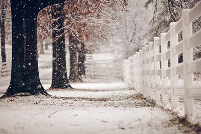 Зимняя снежная ночная улица | Обои для телефона