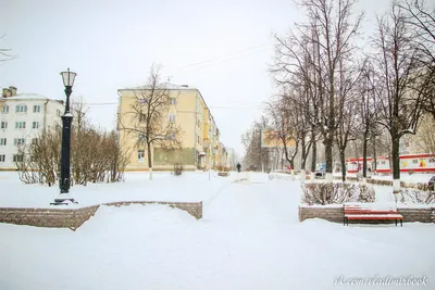 Файл:Улица Ленина в зимние праздники 2018 года, Новосибирск 005.jpg —  Википедия