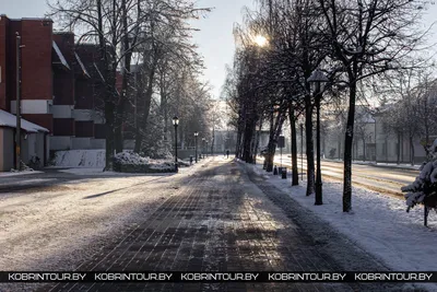Фото Севастополя: Зимний Севастополь: фото последнего дня января