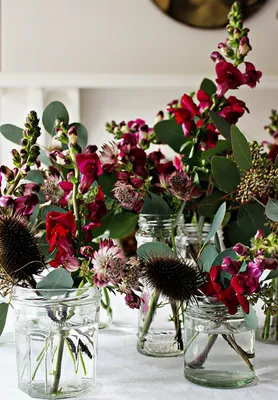 Зимний цветочный декор: 10 простых идей | myDecor